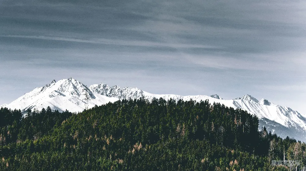 高清摄影 雪山 森林 自然风光 宁静 冬季 雪山与森林的静谧美景