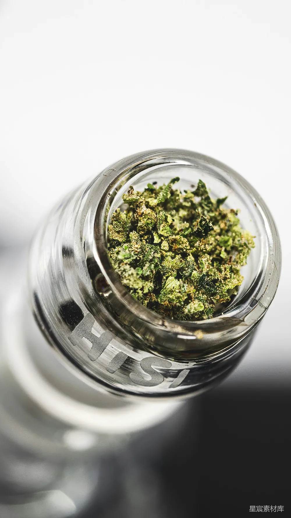 高清摄影 植物 玻璃罐 自然 室内 生活 玻璃罐内的绿植