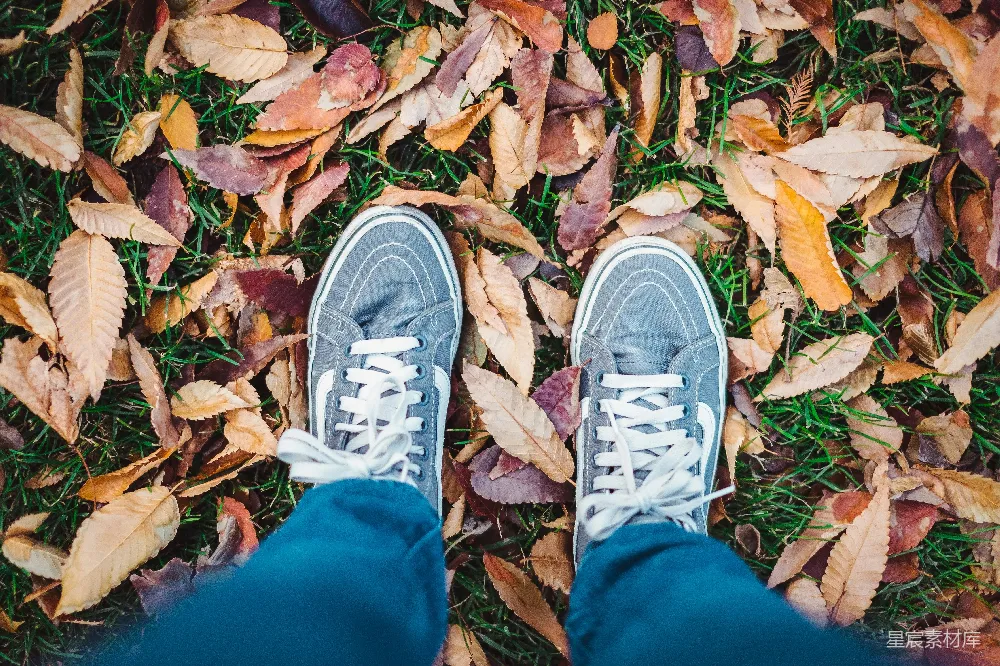 高清摄影 秋天 落叶 休闲 户外 脚踝 秋日落叶中的脚踝