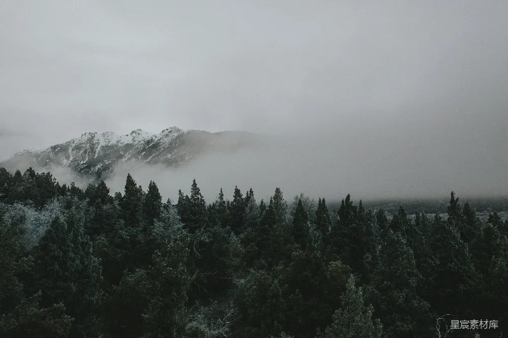 高清摄影 森林 山脉 雾 自然风光 宁静 雾中的森林与山峰