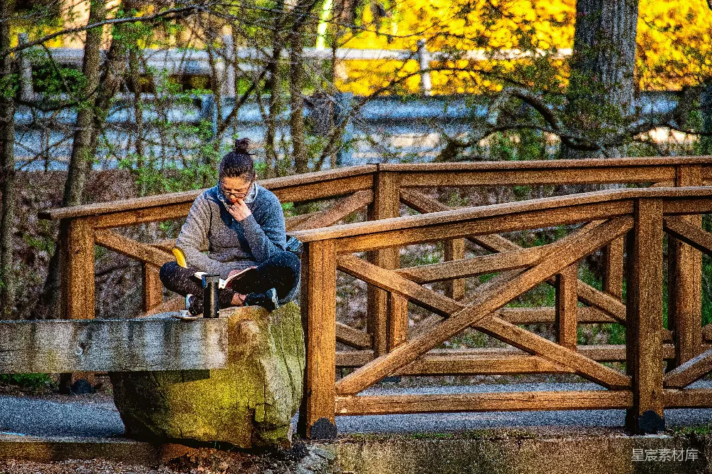 高清摄影 秋景 阅读 自然 宁静 户外 秋日书海静思
