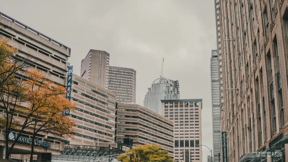高清摄影 城市 高楼 秋景 建筑 城市风光 城市秋景中的高楼大厦