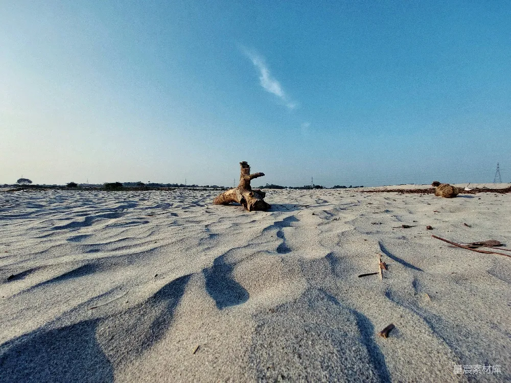 高清摄影 海滩 枯木 影子 自然 宁静 海滩上的枯木与影子