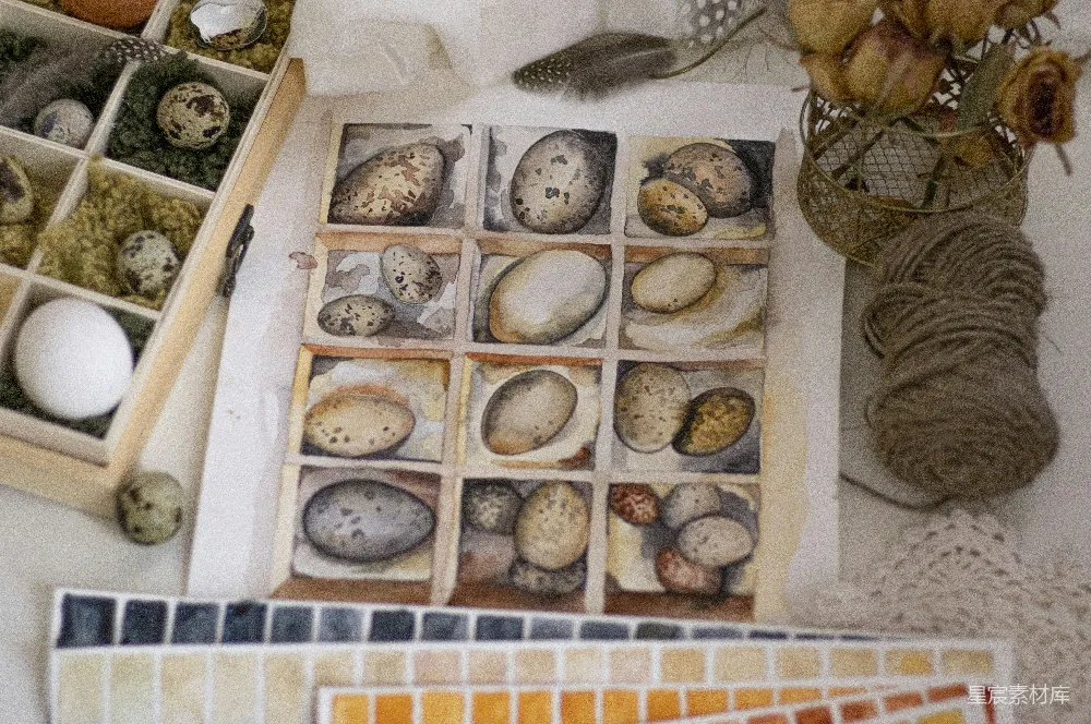 高清摄影 自然 艺术 装饰 手工艺品 静物 自然元素的艺术展示