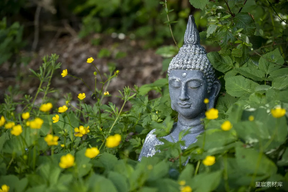 高清摄影 佛像 自然 静谧 禅意 花园 佛像与黄花
