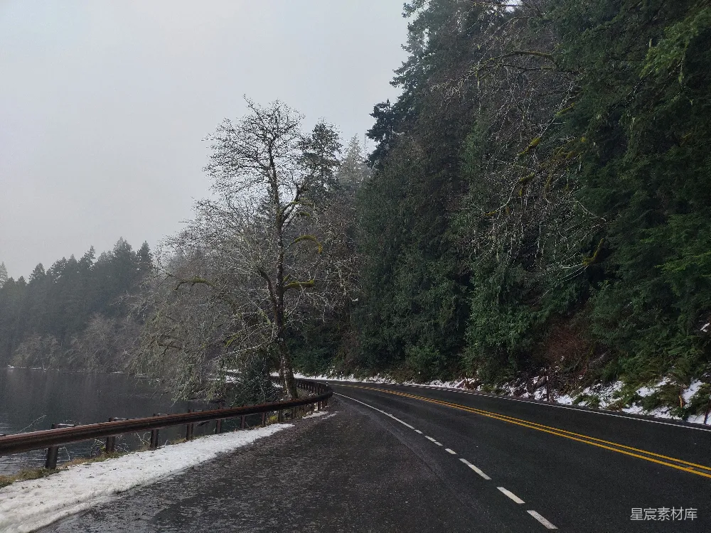 高清摄影 冬季 森林 公路 雾气 宁静 冬日山间公路