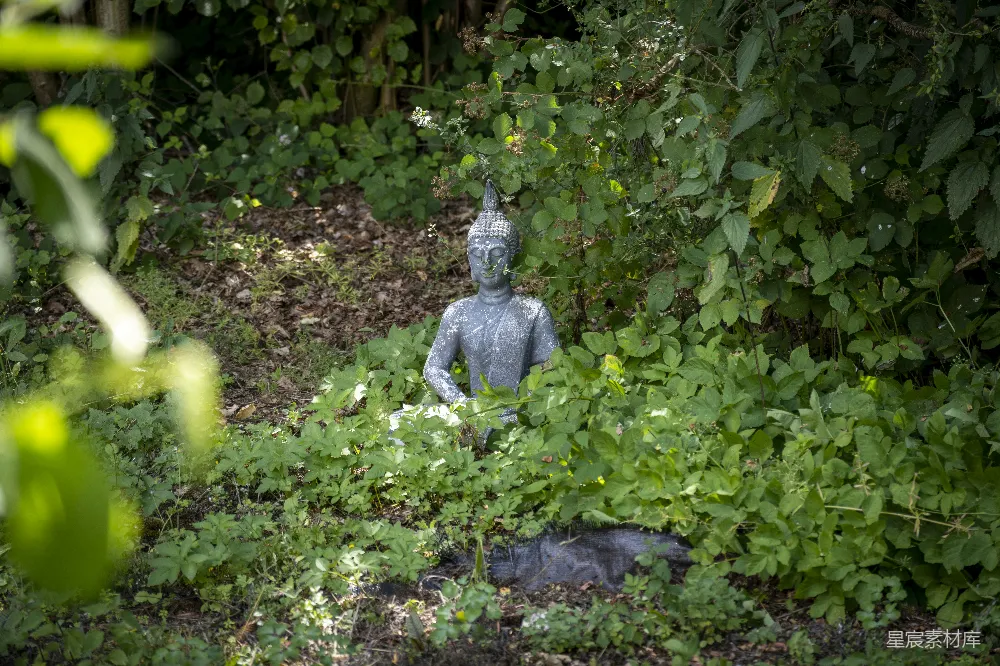 高清摄影 佛像 自然 宁静 户外 雕塑 被植物包围的佛像