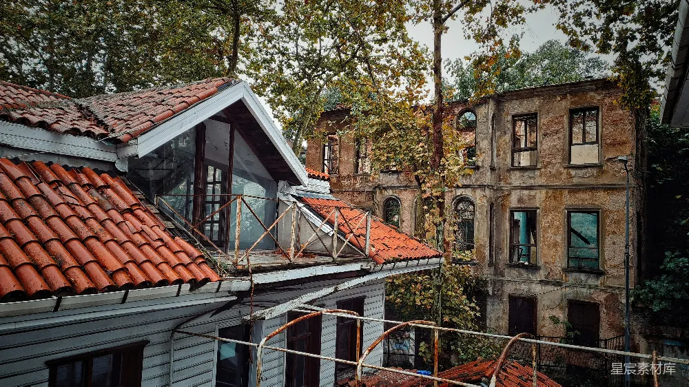 高清摄影 废弃建筑 自然景观 城市边缘 复古建筑 都市荒凉 废弃建筑与自然的交融