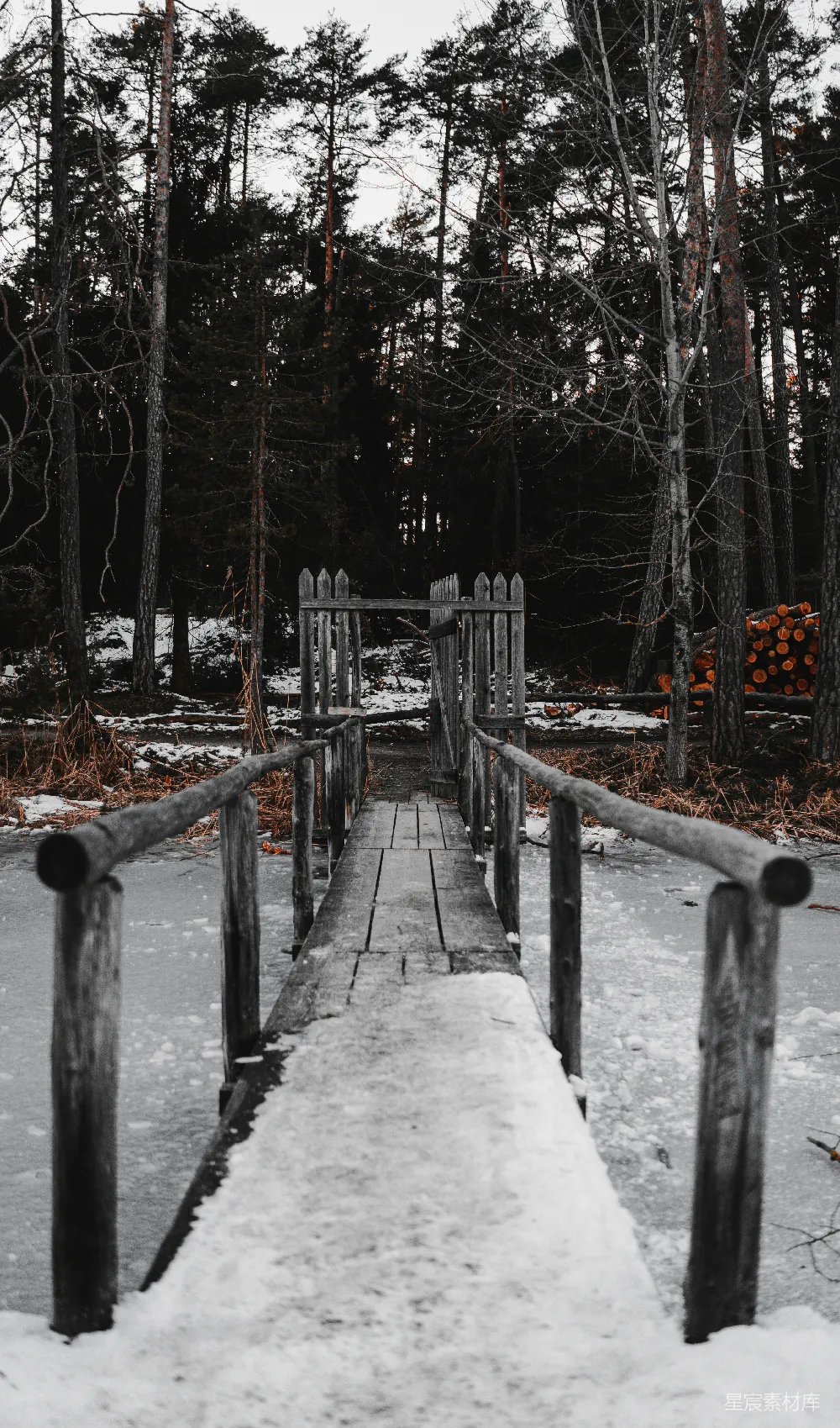 高清摄影 雪地 木桥 森林 冬季 自然 冬日雪地上的木桥