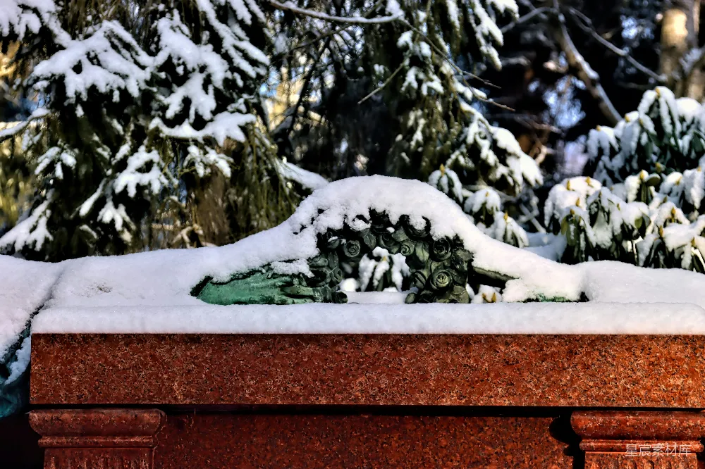 高清摄影 雪景 雕塑 冬季 自然 艺术 冬日之景：雪覆盖的雕塑
