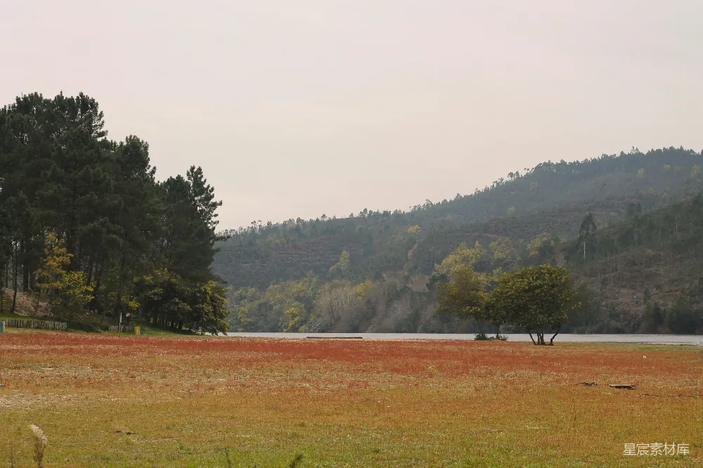 高清摄影 自然 湖边 秋季 乡村 风景 宁静湖畔的秋景