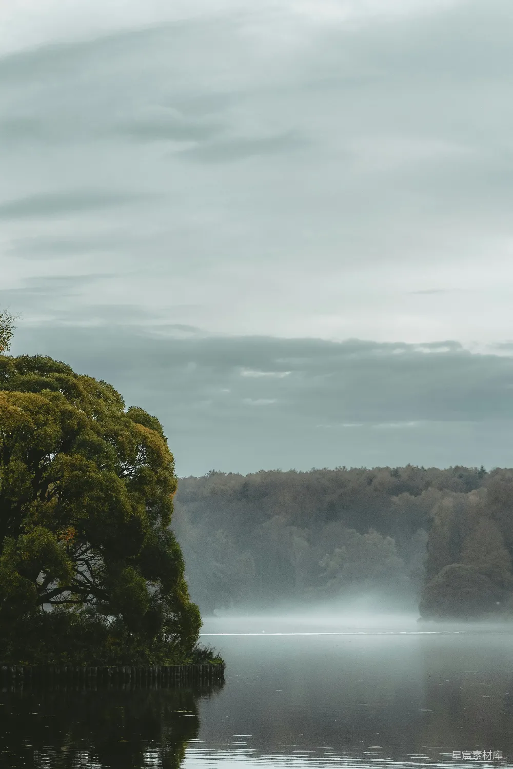 高清摄影 自然风光 宁静 晨雾 湖泊 森林 晨雾中的宁静湖泊