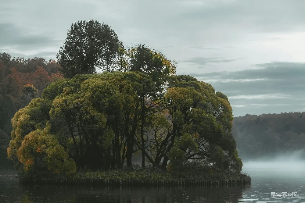 高清摄影 自然 风景 宁静 孤岛 晨雾 湖畔孤岛的宁静