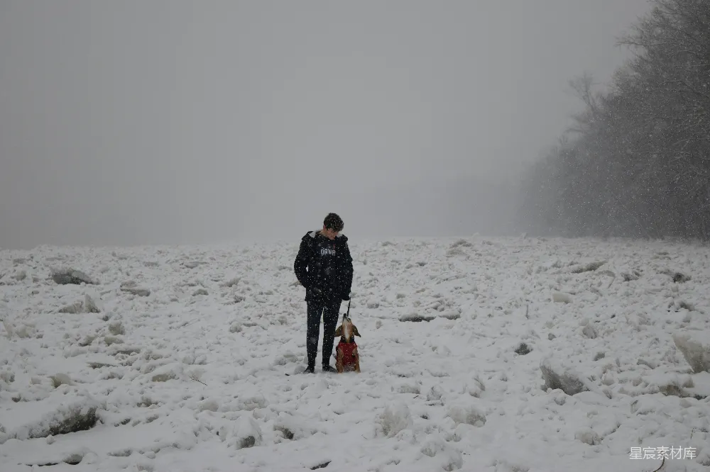 高清摄影 雪景 冬季 人与狗 自然风光 安静 雪中的宁静时光