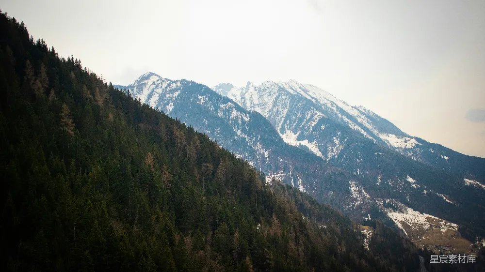 高清摄影 雪山 森林 自然风光 宁静 户外 雪山下的森林