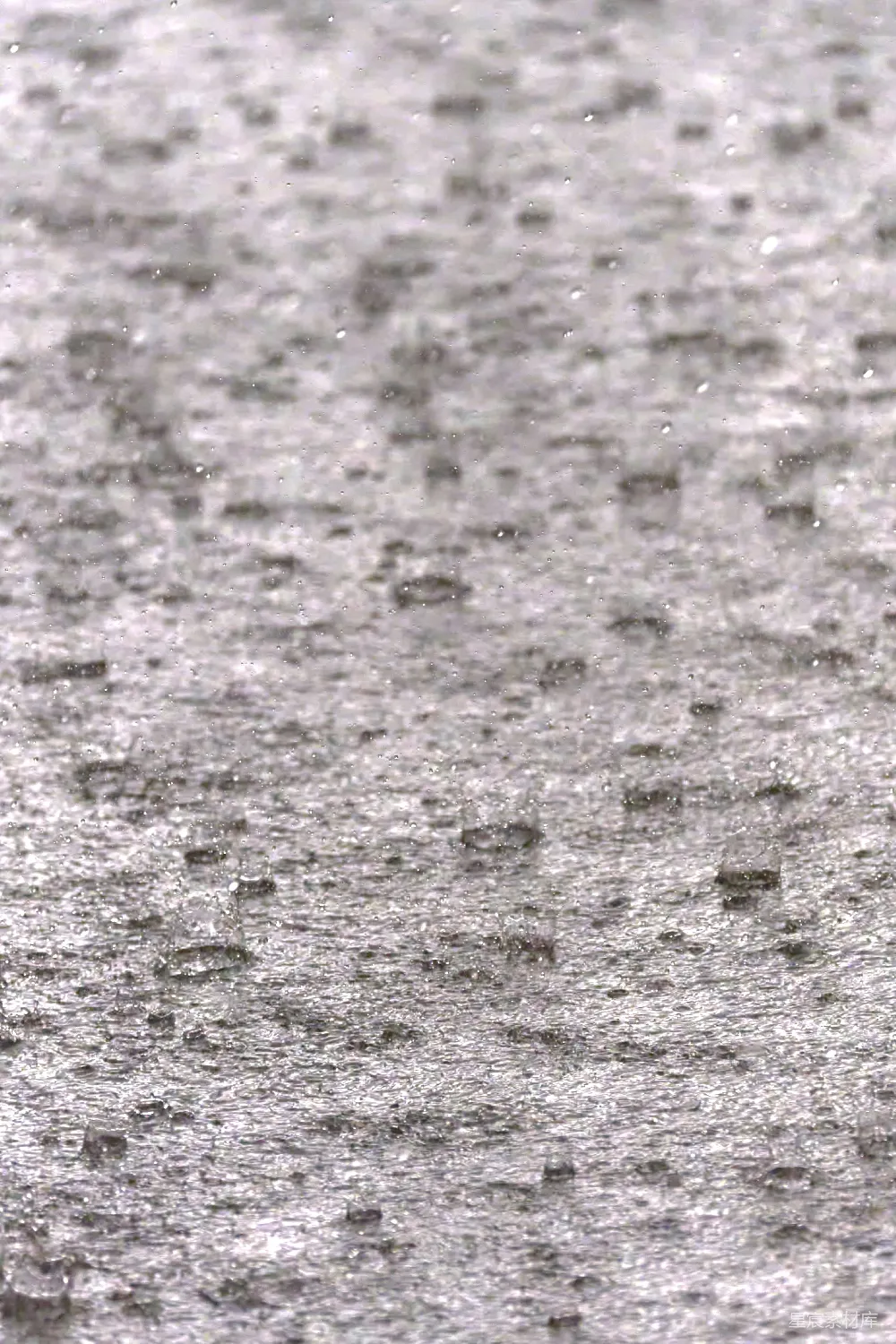 高清摄影 雨滴 水珠 自然 宁静 天气 雨中的水滴