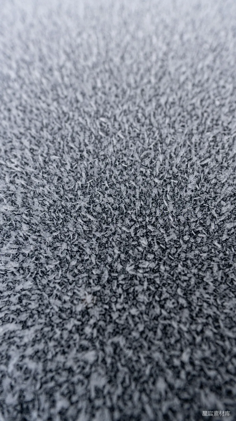 高清摄影 冰晶 纹理 自然 冬季 寒冷 冰晶的纹理