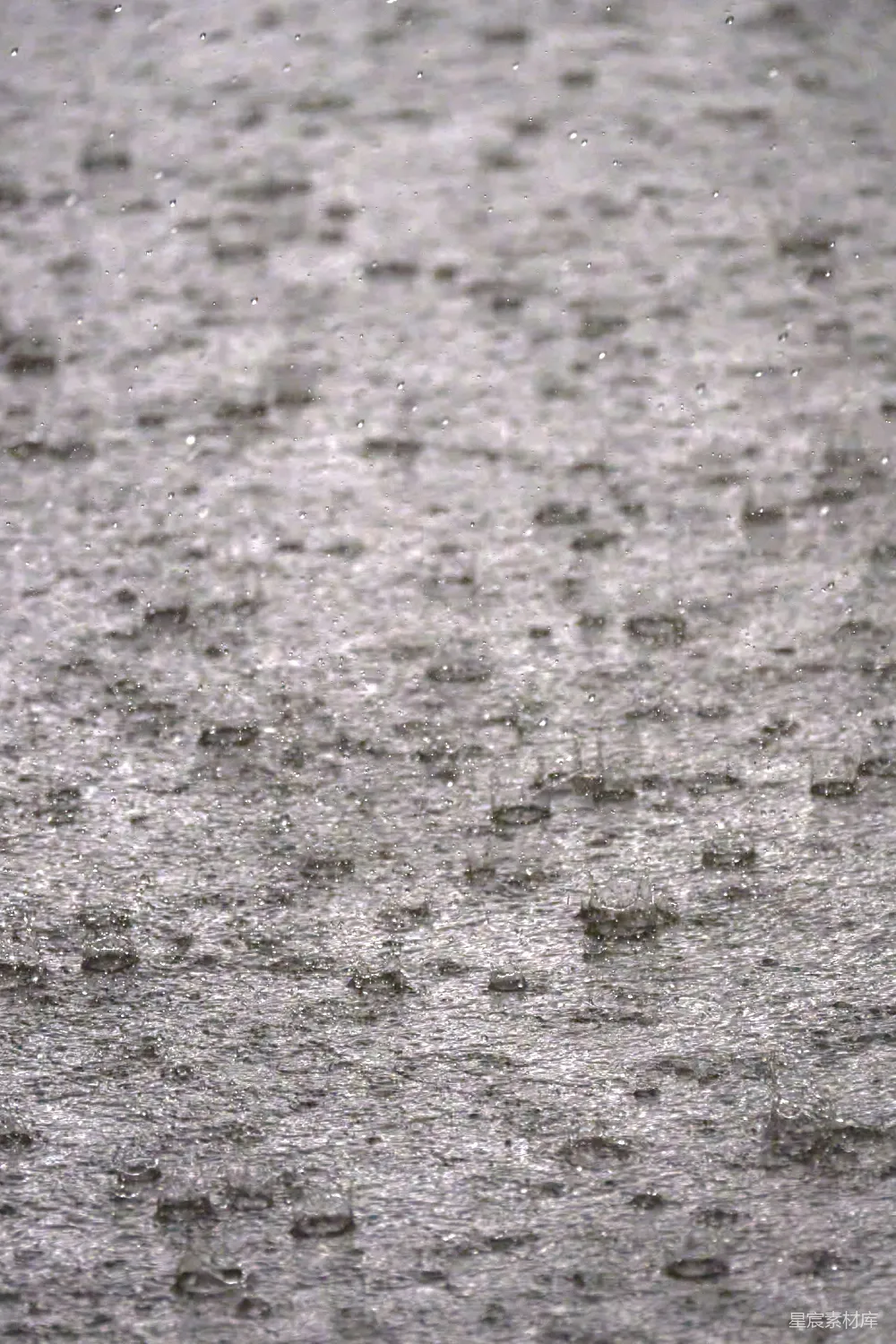 高清摄影 雨滴 水滴 自然 雨景 细节 雨滴落在水面上的瞬间