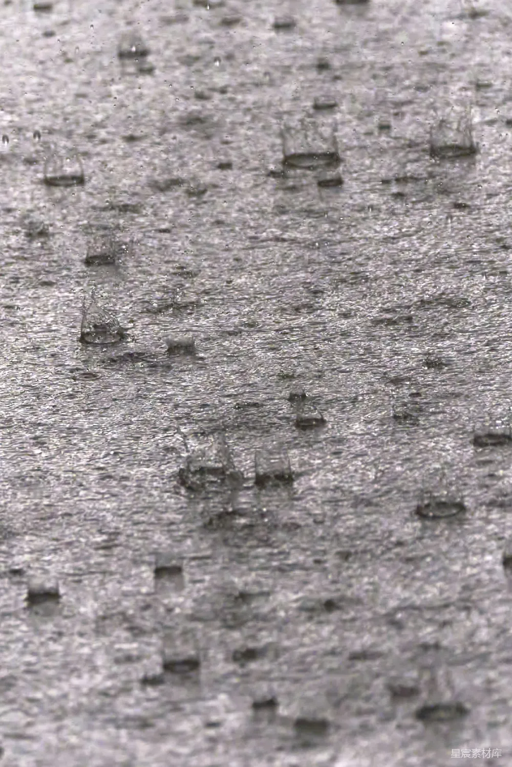 高清摄影 雨滴 水滴 自然现象 雨季 水纹 雨滴落在水面上的瞬间