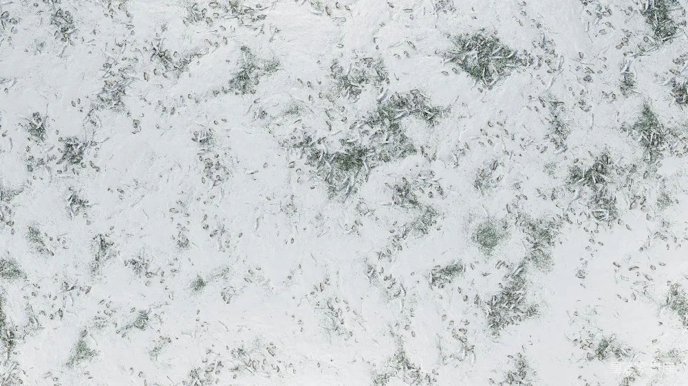 高清摄影 冬季 雪地 动物足迹 自然风光 户外 冬日雪地上的动物足迹