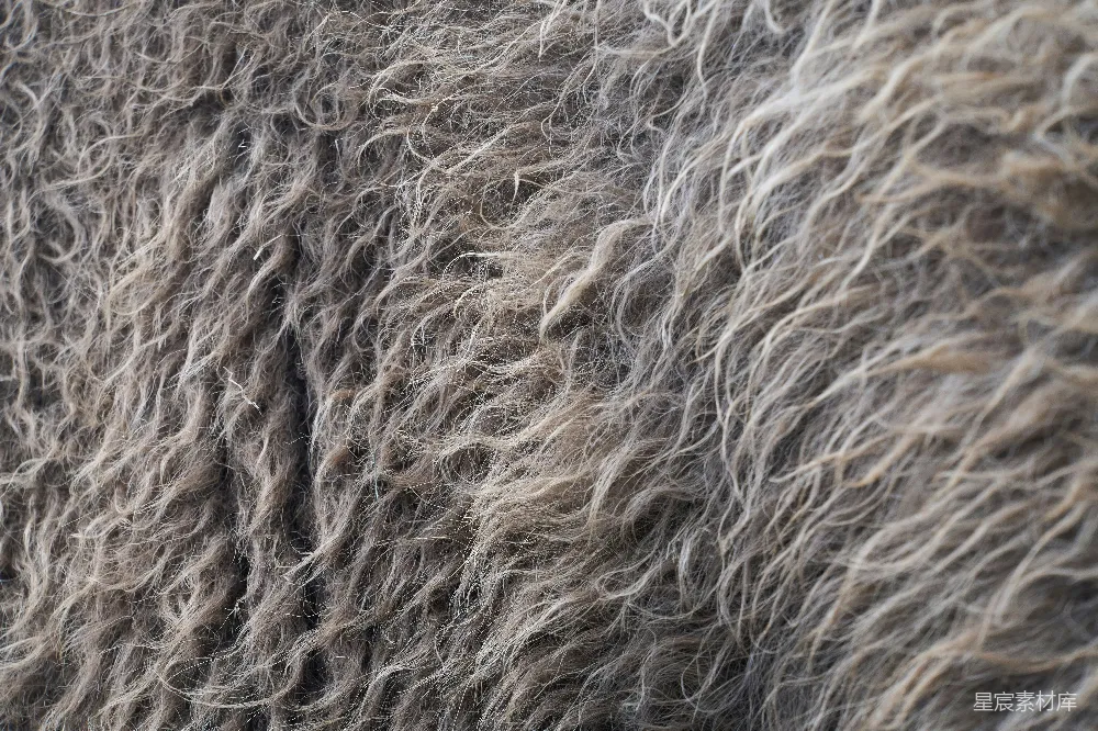 高清摄影 羊毛纹理 自然质感 质感背景 纹理细节 自然材料 蓬松的羊毛纹理