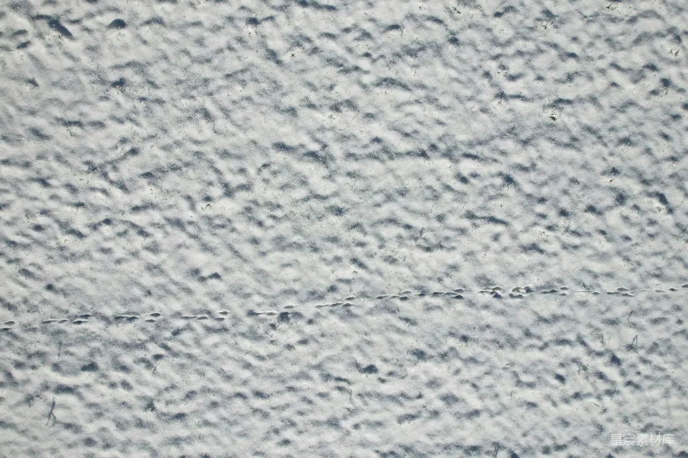 高清摄影 雪地 足迹 自然 户外 宁静 雪地足迹