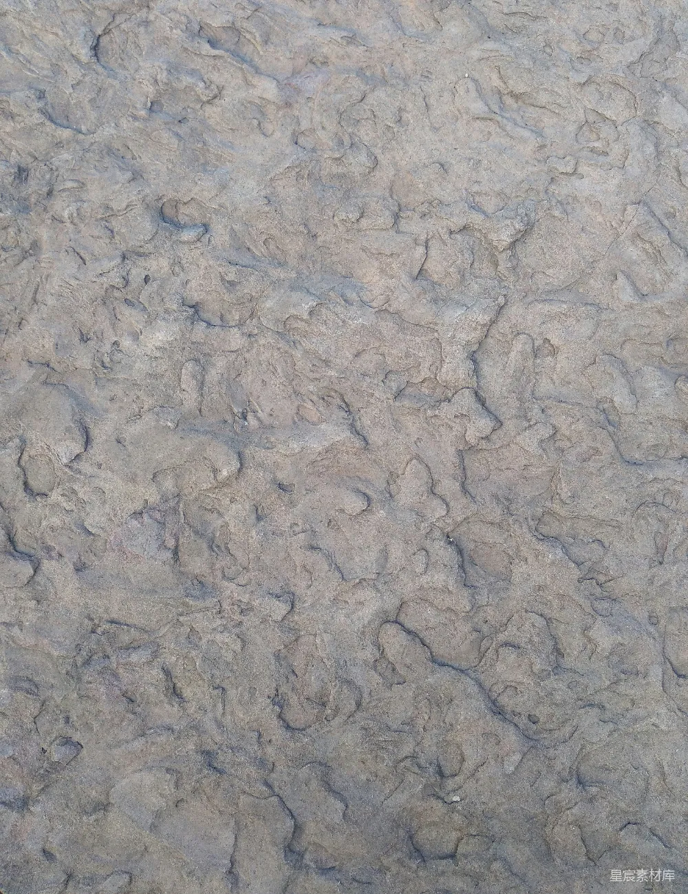 高清摄影 自然纹理 干旱 环境背景 地表形态 干裂 干裂的土地纹理