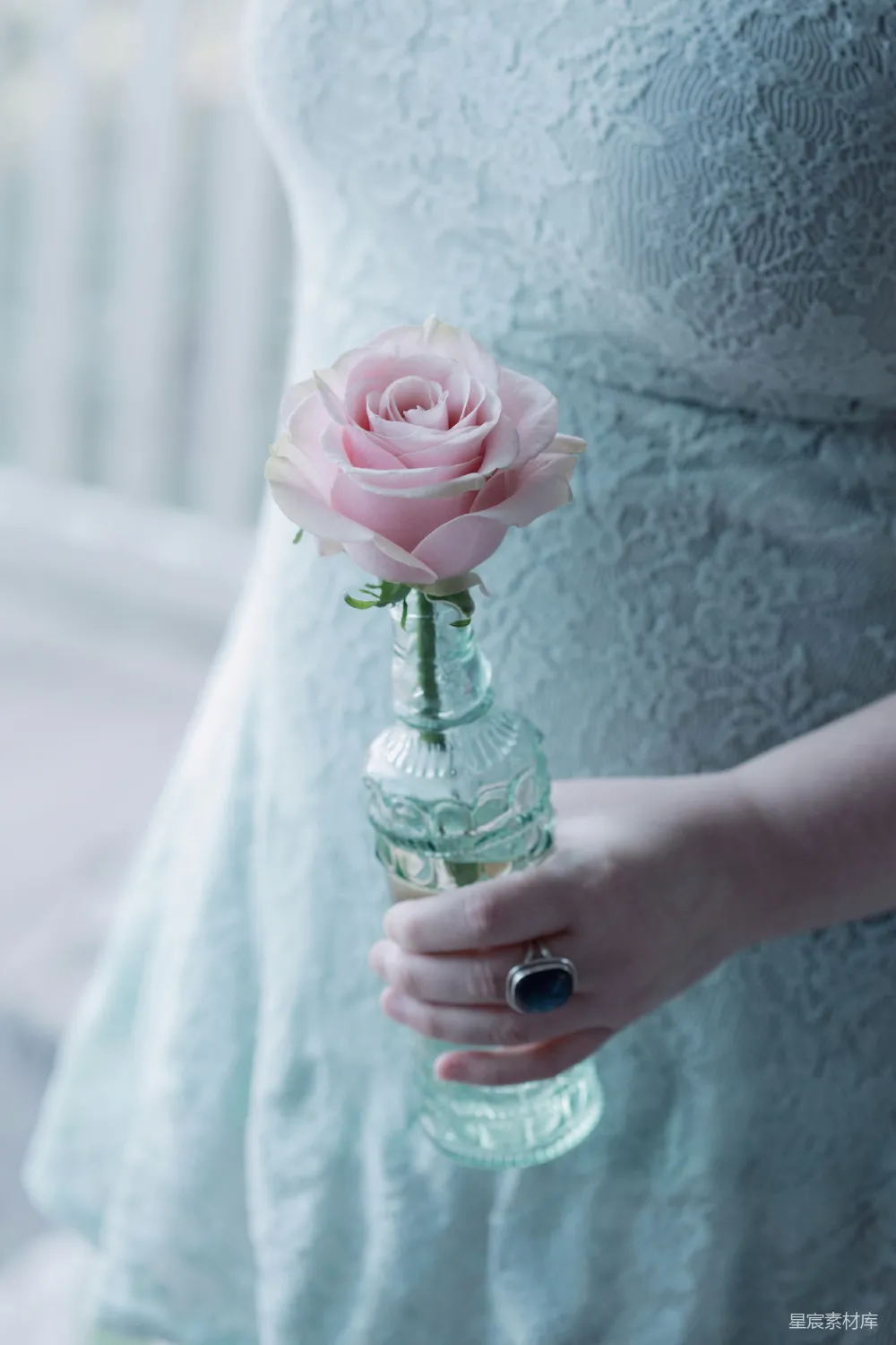 高清摄影 花瓶 手捧花 优雅 婚礼 浪漫 手持粉色玫瑰花瓶的优雅瞬间