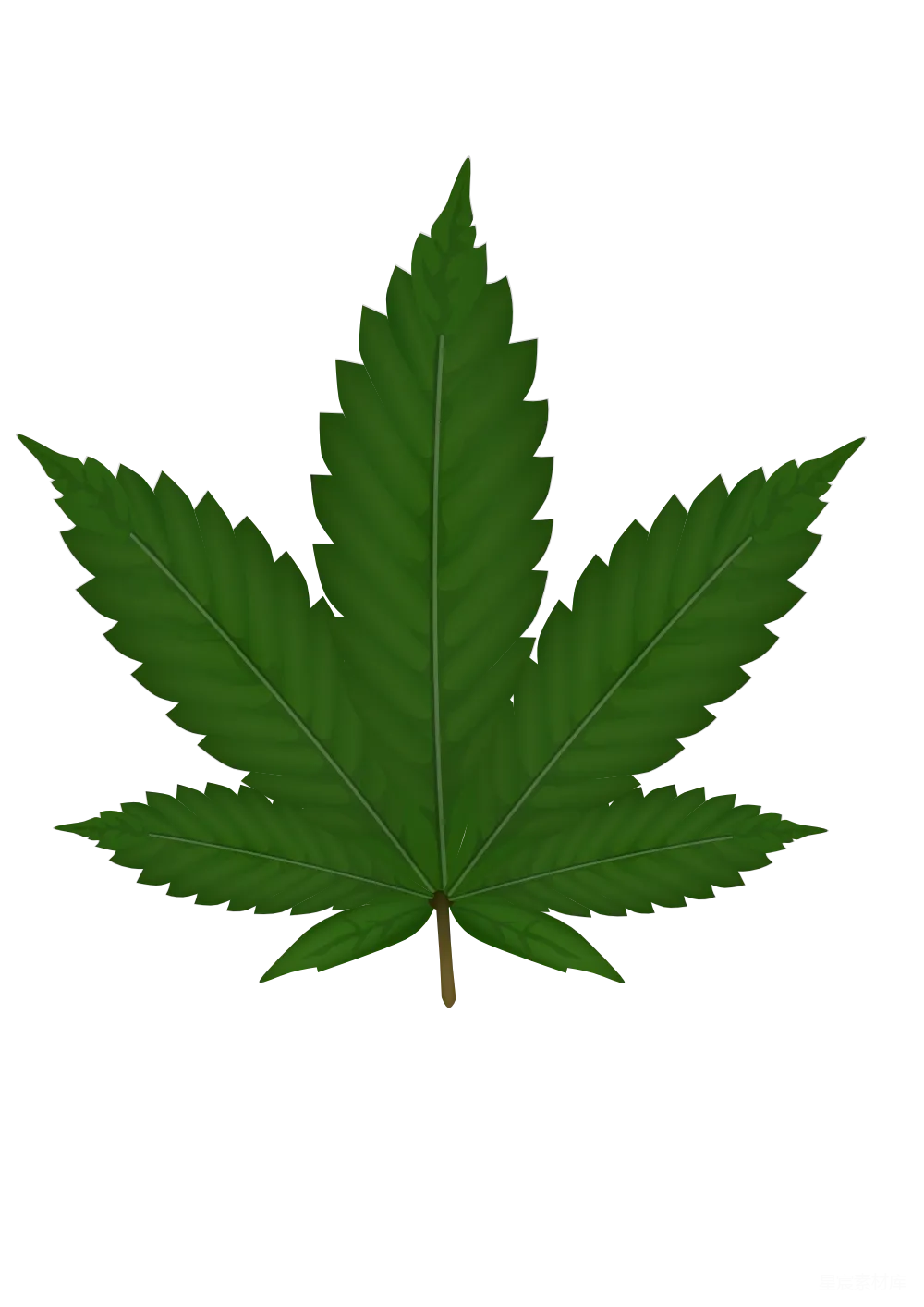 元素素材 大麻