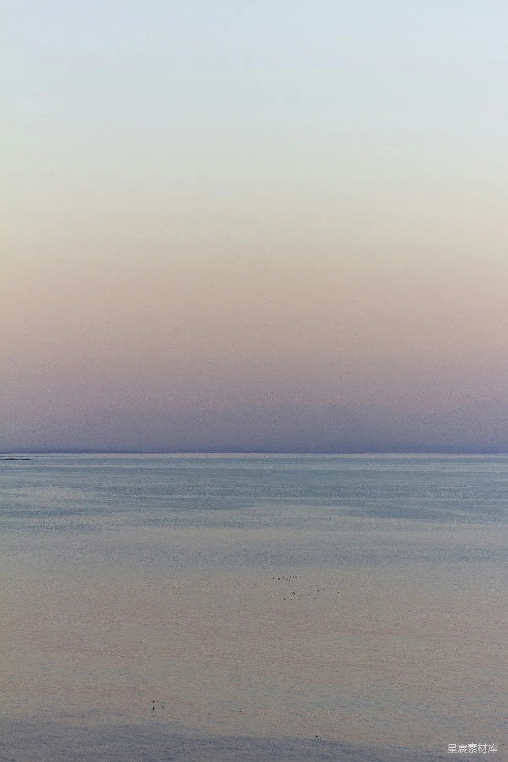 高清摄影 湖面 晨雾 宁静 自然美景 晨景 晨雾中的宁静湖面