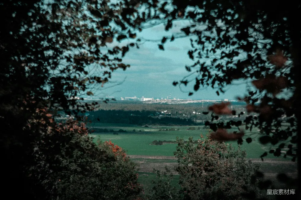 高清摄影 风景 自然 乡村 宁静 远景 透过树叶看远方的田野