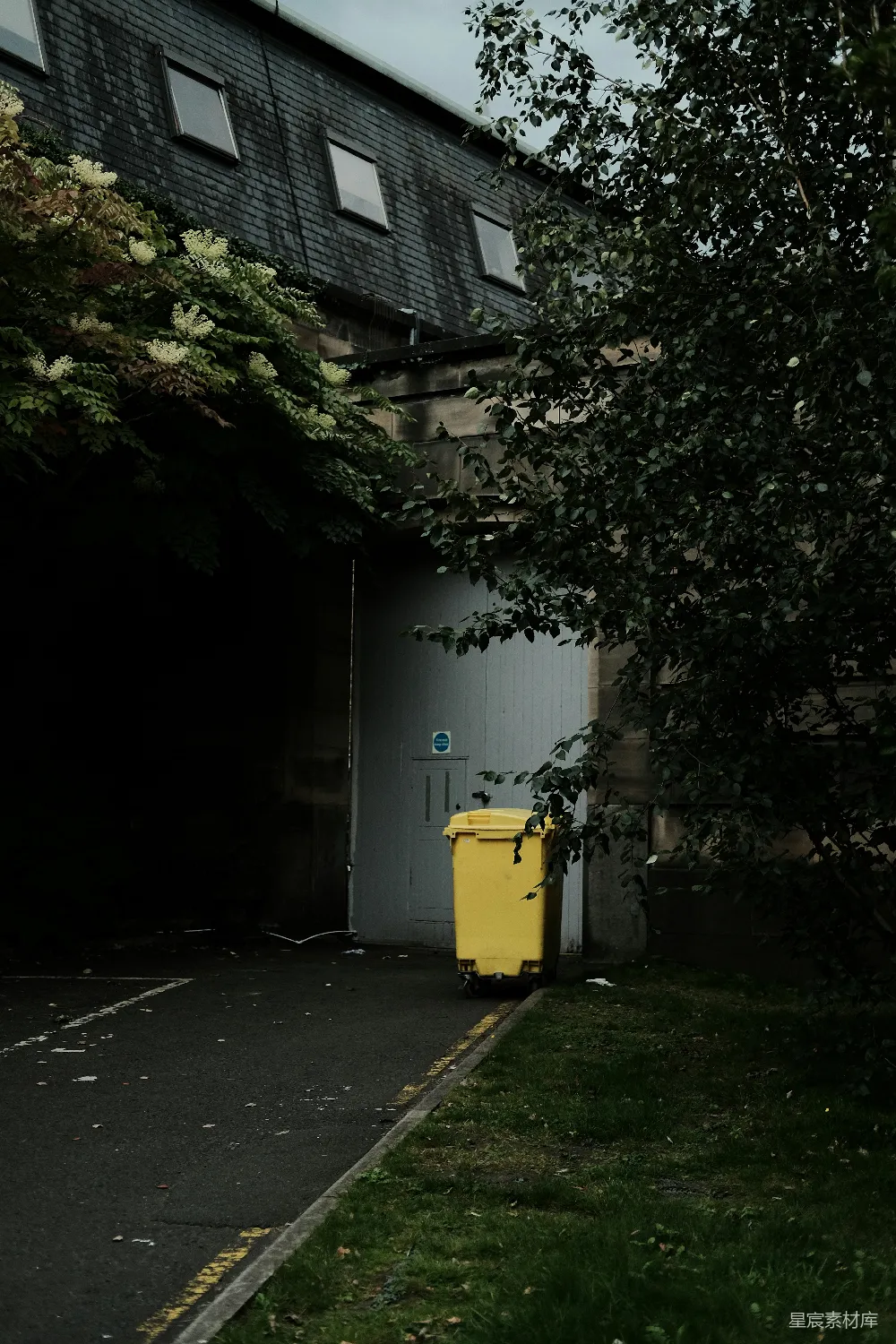 高清摄影 垃圾箱 城市景观 阴郁氛围 自然与建筑 被树木环绕的黄色垃圾桶
