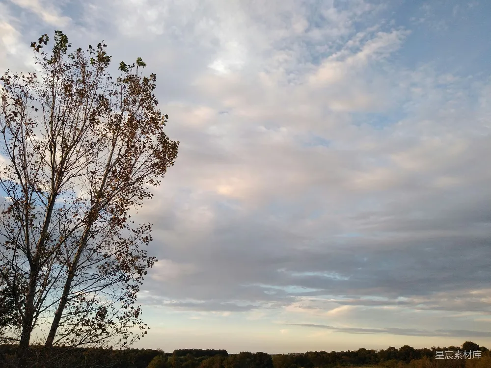 高清摄影 自然风光 秋天 天空 树木 宁静 秋日黄昏的天空