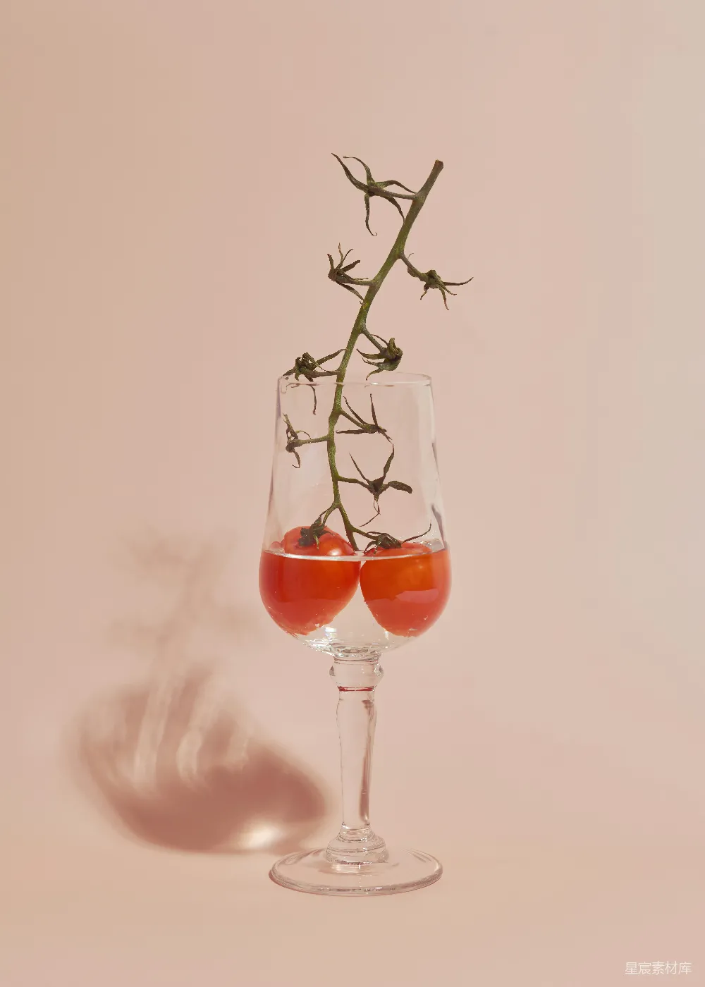 高清摄影 创意摄影 番茄 艺术 植物 玻璃杯 番茄枝的创意展示