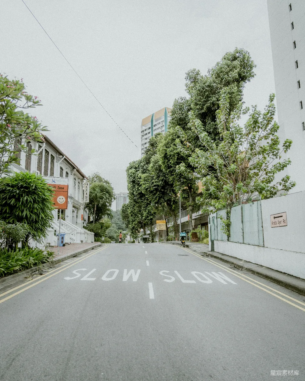 高清摄影 新加坡 街道 绿树成荫 慢行 城市景观 新加坡街头宁静的慢行街景