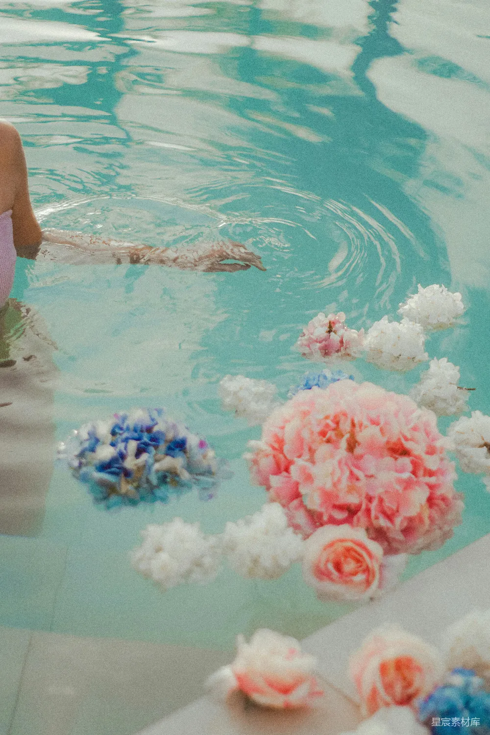 高清摄影 花朵 水 宁静 夏季 自然 水中的花：宁静的瞬间