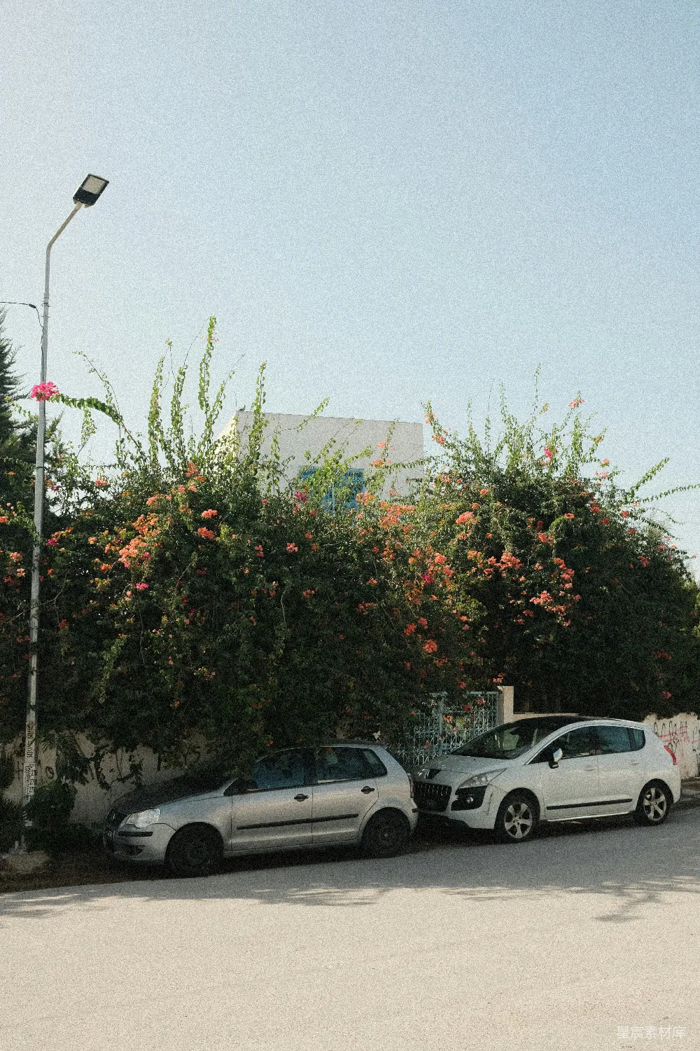 高清摄影 城市 静谧 风景 汽车 植物 城市角落的静谧风景
