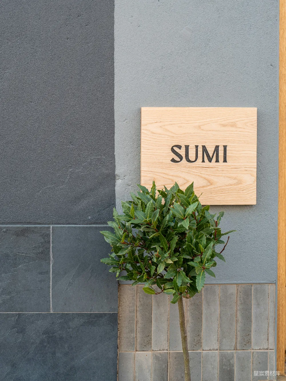 高清摄影 招牌 简约风格 绿植装饰 店铺标识 建筑细节 SUMI的简约木质招牌与绿植