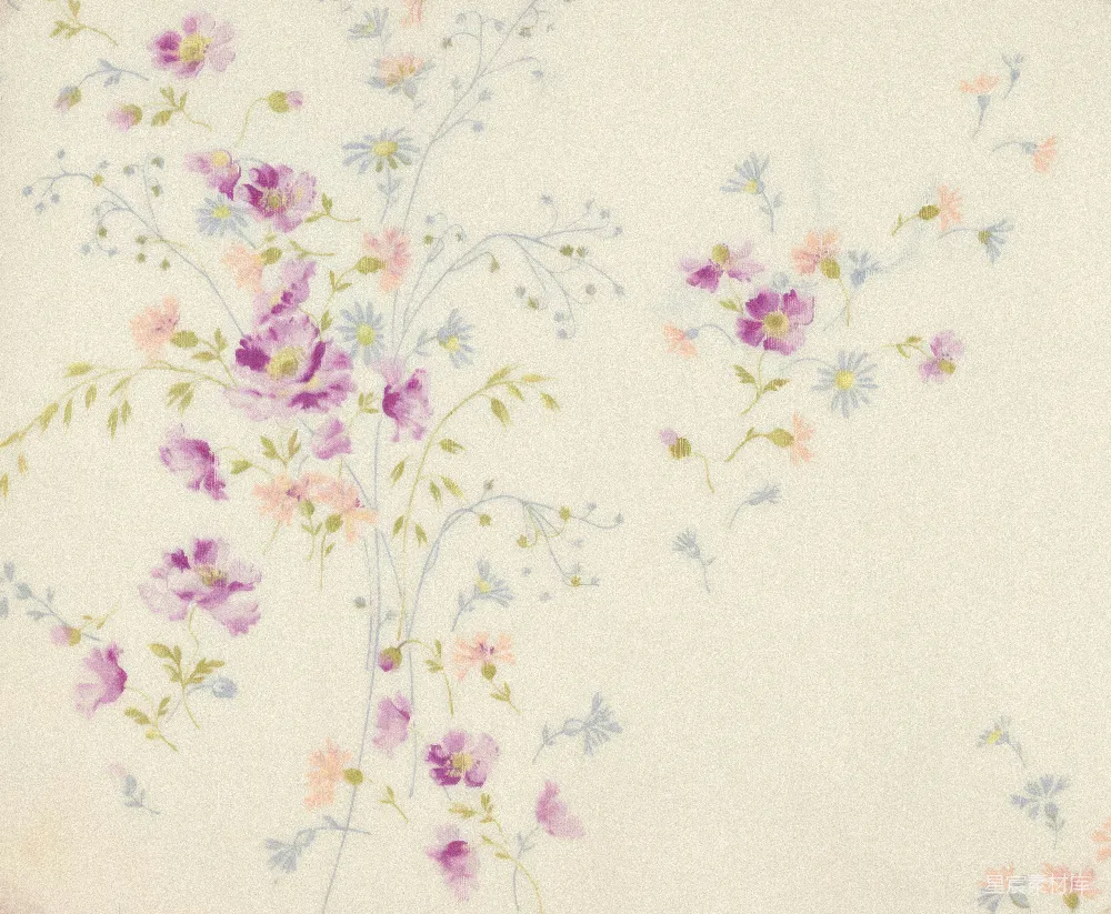 高清摄影 花卉 淡雅 背景 插画 壁纸 淡雅花卉背景