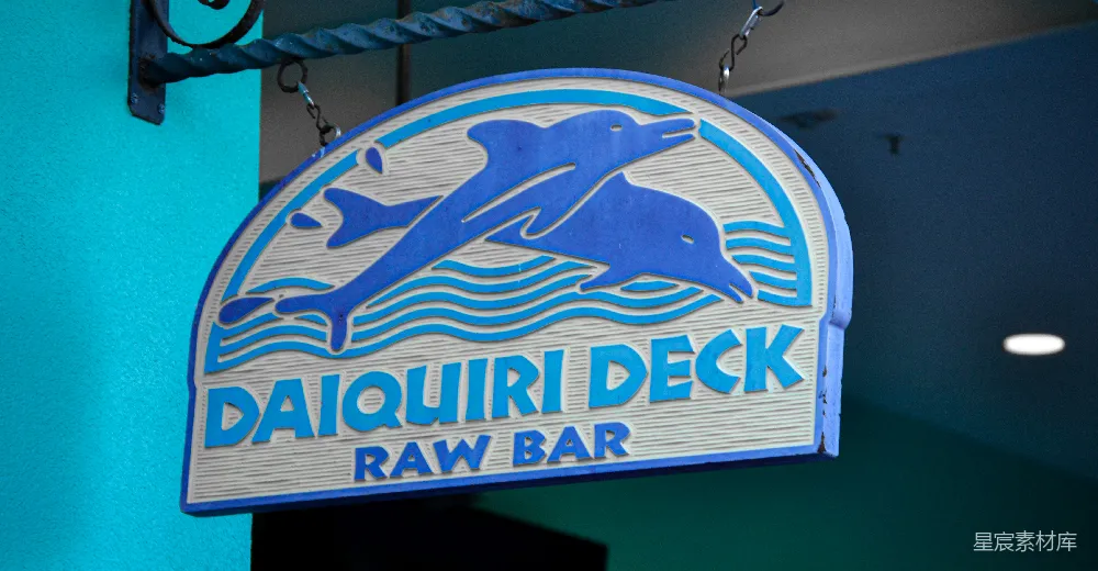 高清摄影 标志牌 海豚 酒吧 复古 餐饮 Daiquiri Deck Raw Bar标志