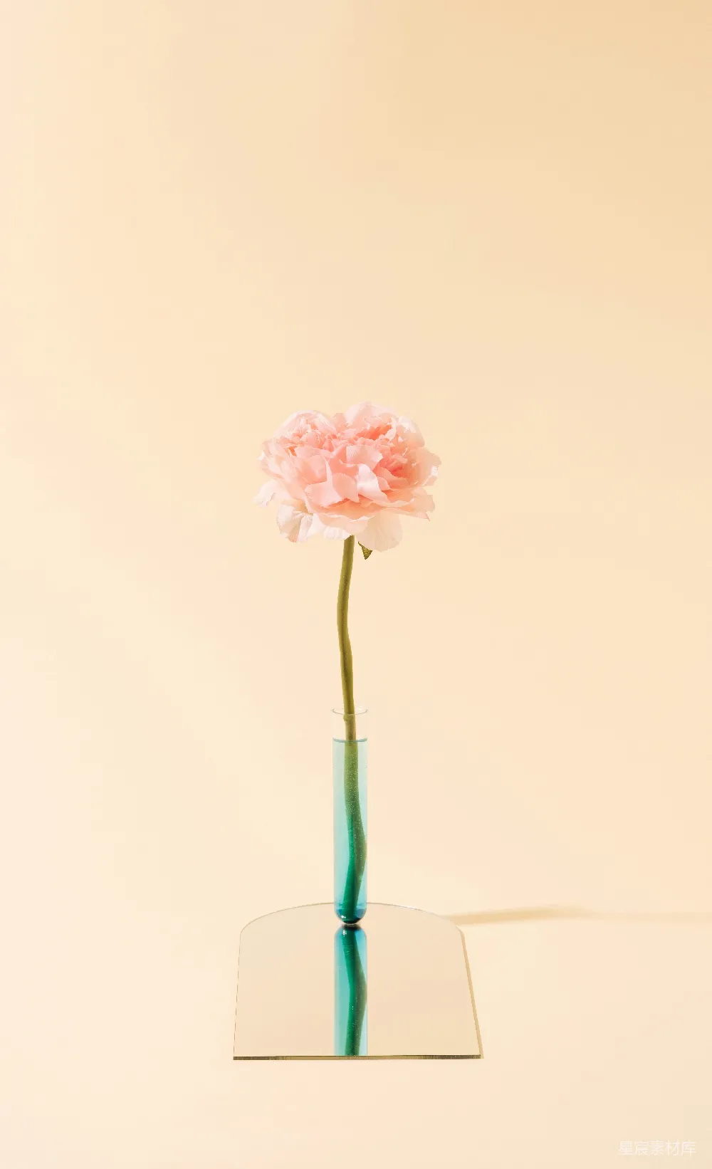 高清摄影 花朵 简约 艺术 花艺 静物 简约花瓶中的粉色花朵