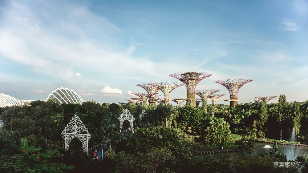高清摄影 新加坡 滨海湾花园 自然景观 现代建筑 旅游景点 新加坡滨海湾花园的壮丽景观