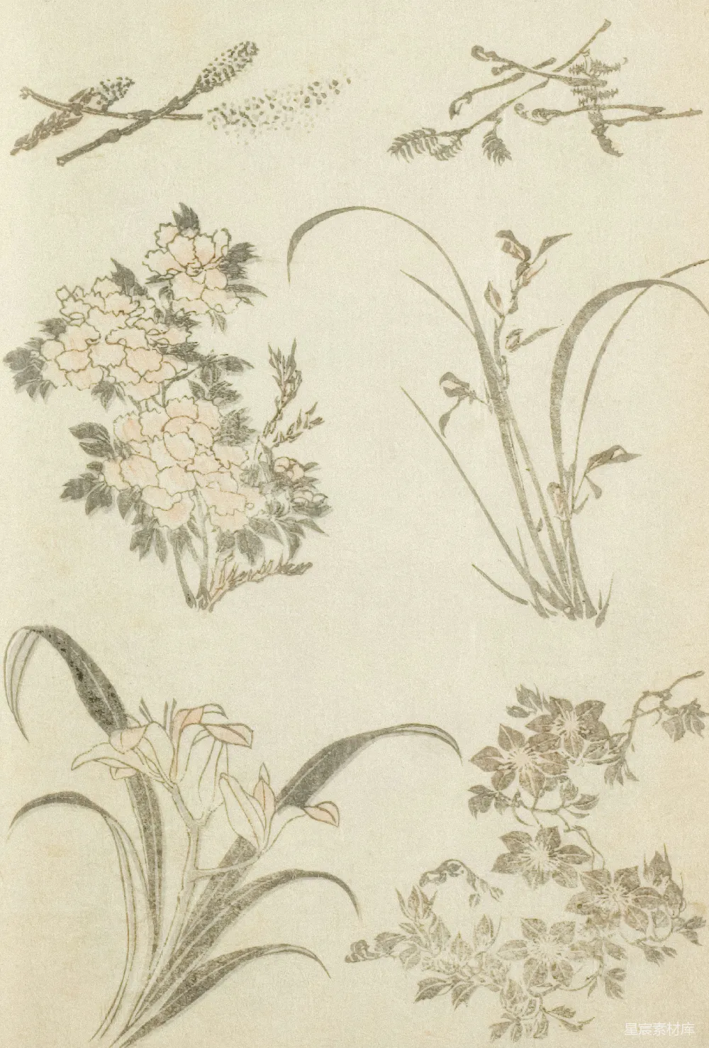 高清摄影 古典 花卉 艺术 手绘 装饰 古典花卉图集