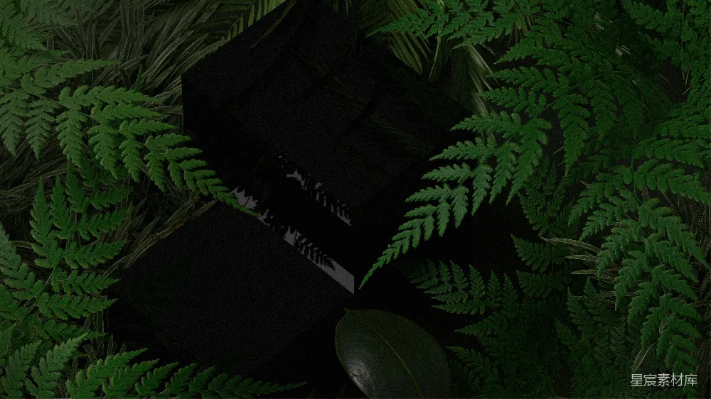 高清摄影 植物 书籍 暗夜 自然 静谧 暗夜中的植物与书籍