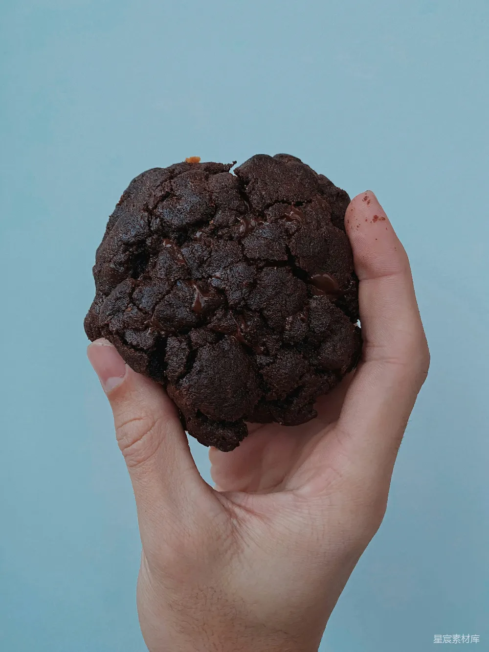 高清摄影 饼干 美食 甜点 手绘 甜品 巧克力饼干