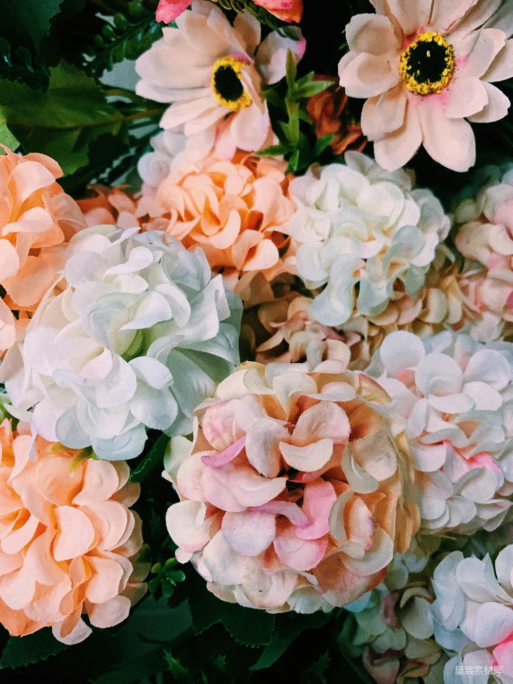 高清摄影 花朵 柔和 装饰 自然 背景 柔和的花朵