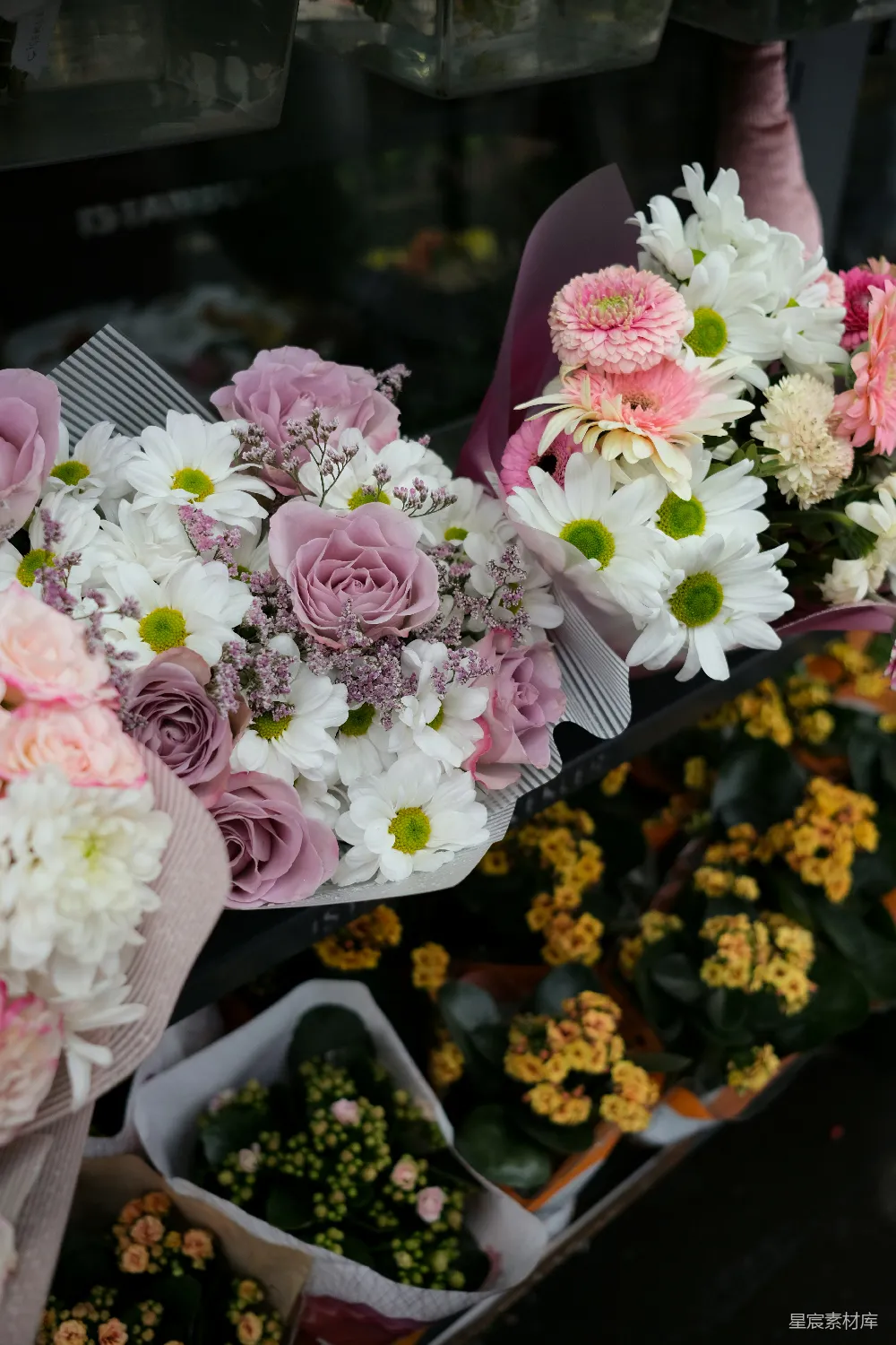 高清摄影 花市 花束 花卉 市场 自然 花市中的多彩花束