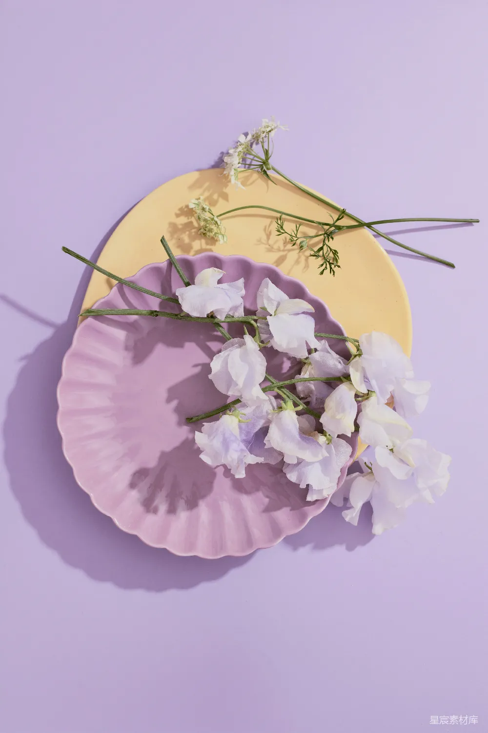 高清摄影 花艺 静物 清新 装饰 日常 淡紫色盘子上的白色花朵