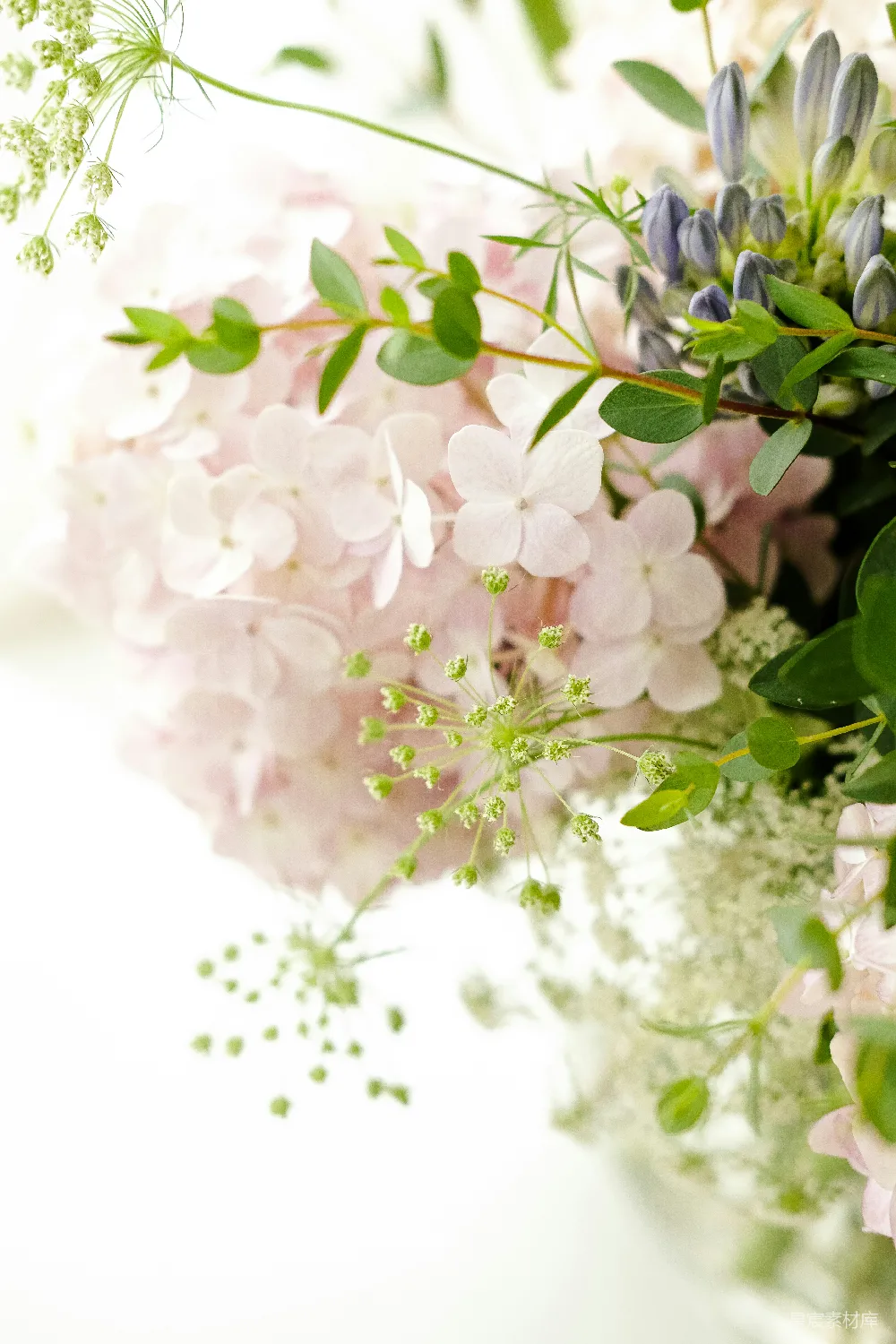 高清摄影 花朵 柔和 自然 婚礼 装饰 柔和的花束特写