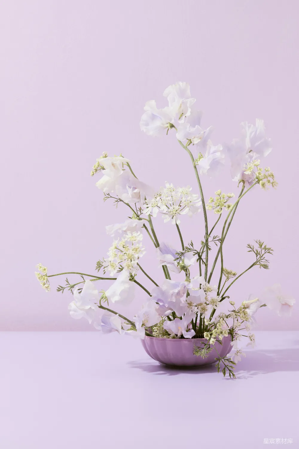 高清摄影 花束 淡紫色 简约 室内装饰 静物 淡紫色花束与紫色背景